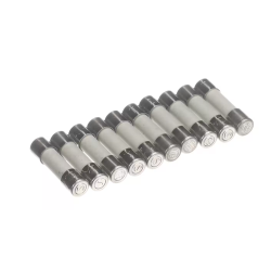 4056944 Fuse T2A 10 pc....